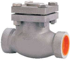 886 Series - Stainless Steel Swing Check Valves